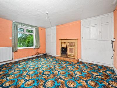 Picture 24
